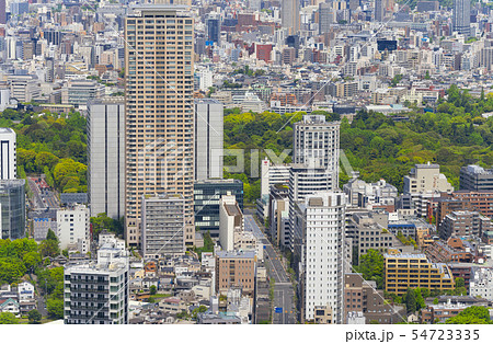 東京風景 六本木から望む青山 赤坂御用地方面 2019 東京風景 六本木から望む青山 赤坂御用地方面 2019 54723335
