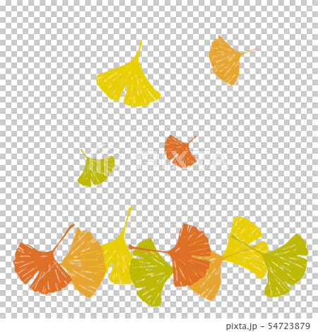 舞い落ちるイチョウの葉っぱのイラスト素材