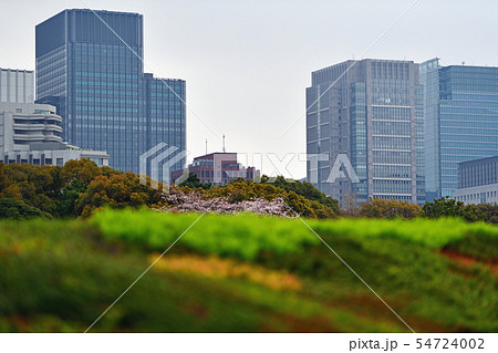 街景色 東京 丸の内 街景色 東京 丸の内 54724002