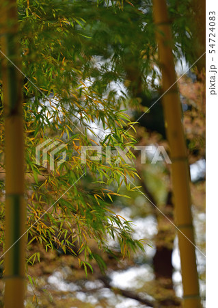 街景色　東京　丸の内 54724083