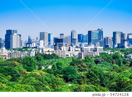 東京 新宿御苑と都心部の町並み 東京 新宿御苑と都心部の町並み 54724128