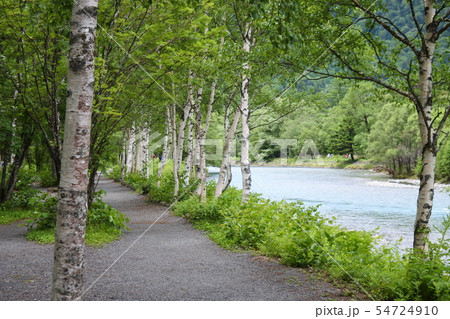 上高地遊歩道 上高地遊歩道 54724910