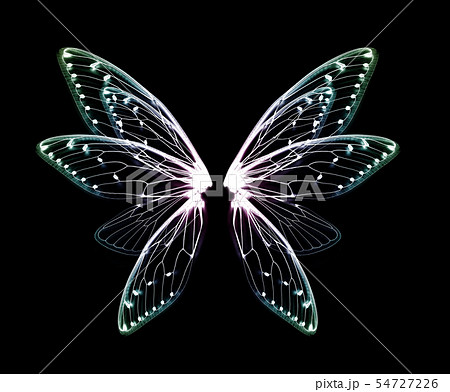 wings of Insect cicada on black bacground 54727226