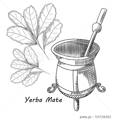 Concept of calabash and bombilla for yerba mate 54728302