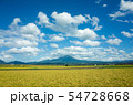 鳥取県西伯郡からの大山 54728668