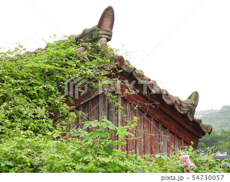 屋根 草の葉 建物 54730057
