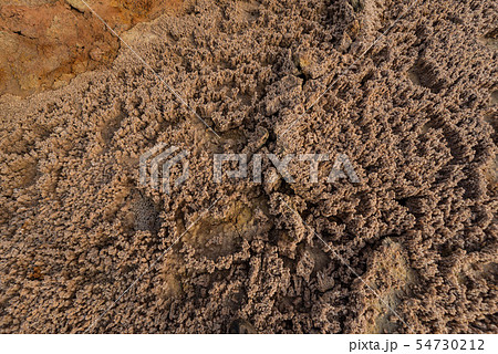 ダロール火山　ダナキル砂漠 54730212