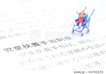 児童扶養手当制度 54730255