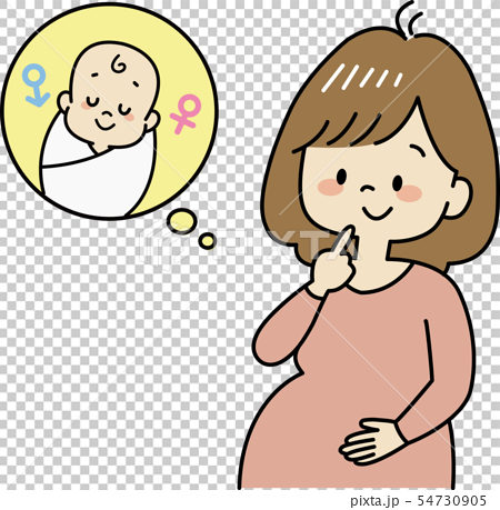 赤ちゃんの性別を楽しみにする妊婦のイラスト素材