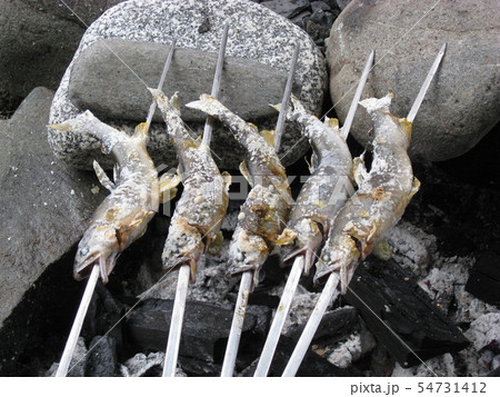 鮎の塩焼き 54731412