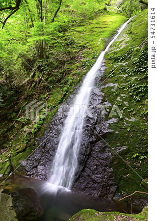 オウネンの滝（兵庫県神崎郡） 54731614