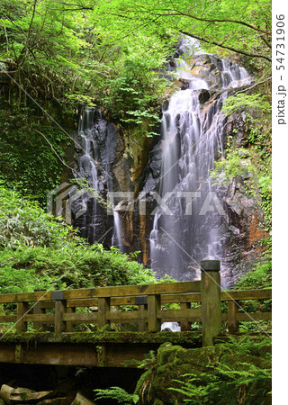トヤの夫婦滝(岡山県津山市) トヤの夫婦滝(岡山県津山市) 54731906