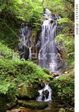 トヤの夫婦滝(岡山県津山市) トヤの夫婦滝(岡山県津山市) 54731940