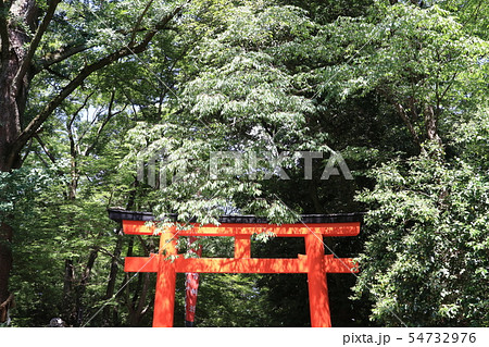 京都 下鴨神社 河合神社 54732976