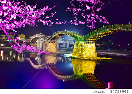 錦帯橋の夜桜 山口 錦帯橋の夜桜 山口 54733941