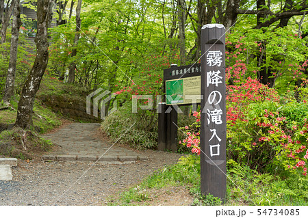栃木県日光市　霧降ノ滝　遊歩道入口　（5月） 54734085