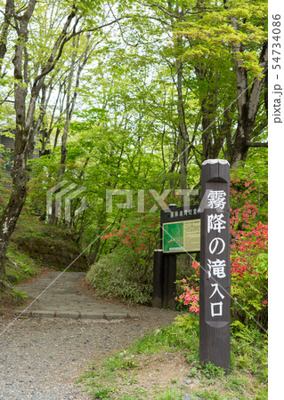 栃木県日光市　霧降ノ滝　遊歩道入口　（5月） 54734086