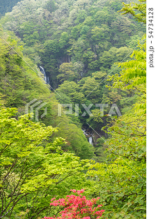栃木県日光市 霧降ノ滝 (5月) 栃木県日光市 霧降ノ滝 (5月) 54734128