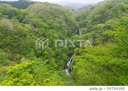 栃木県日光市 霧降ノ滝 (5月) 栃木県日光市 霧降ノ滝 (5月) 54734160