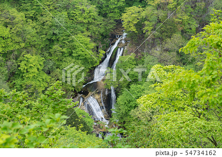 栃木県日光市 霧降ノ滝 (5月) 栃木県日光市 霧降ノ滝 (5月) 54734162