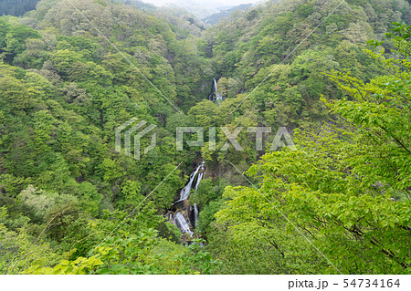 栃木県日光市 霧降ノ滝 (5月) 栃木県日光市 霧降ノ滝 (5月) 54734164