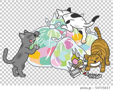 清除垃圾的貓 54735657