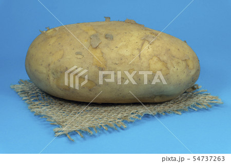 Fresh potato on a square of hessian 54737263