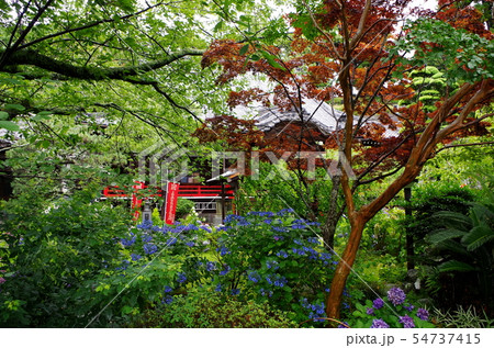 伊豆・土肥温泉・青雲寺 伊豆・土肥温泉・青雲寺 54737415