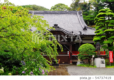 伊豆・土肥温泉・青雲寺 54737419