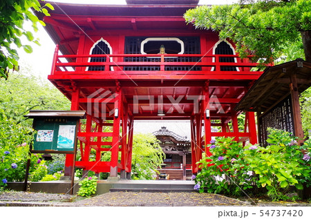 伊豆・土肥温泉・青雲寺 伊豆・土肥温泉・青雲寺 54737420