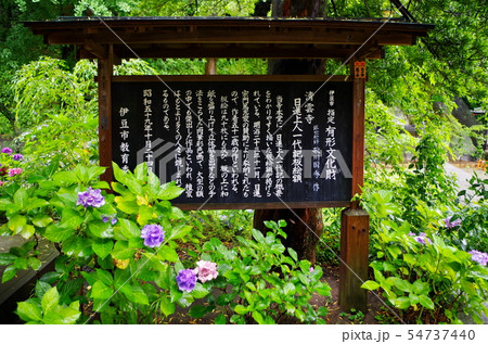 伊豆・土肥温泉・青雲寺 伊豆・土肥温泉・青雲寺 54737440