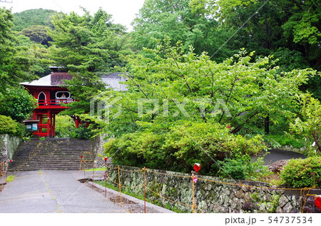 伊豆・土肥温泉・青雲寺 54737534