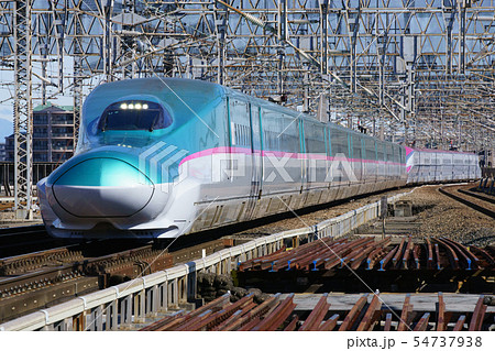 東北新幹線 E5系 はやぶさ 54737938