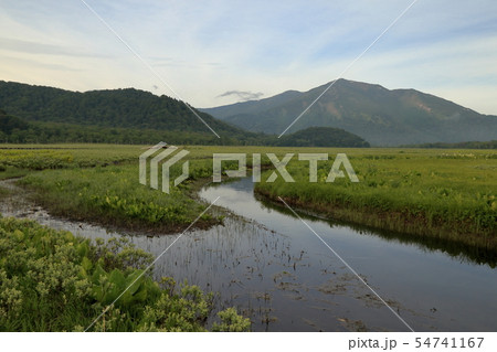 [定額] 早朝の尾瀬ヶ原と至仏山 54741167
