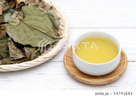 ドクダミ　お茶 54741683