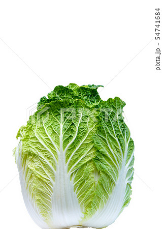 白菜 54741684