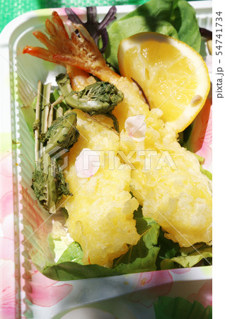 花見の弁当 花見の弁当 54741734