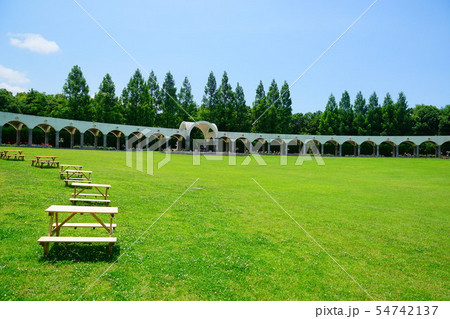 蜻蛉池公園 大阪府 蜻蛉池公園 大阪府 54742137