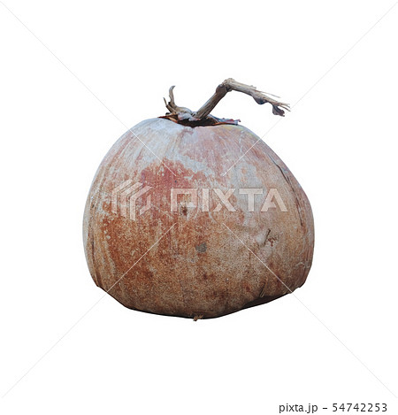 Brown Coconut isolated on white background. 54742253