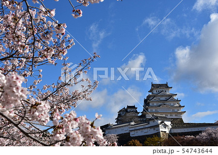 日本の兵庫県の姫路市 世界遺産の姫路城 美しい桜と青空と天守閣 日本の兵庫県の姫路市 世界遺産の姫路城 美しい桜と青空と天守閣 54743644