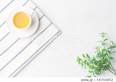 木の葉 葉 草の葉 54743852