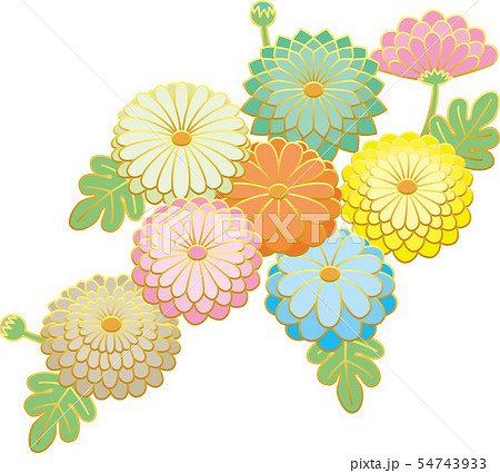 和風の菊の模様.ベクター背景素材. 54743933