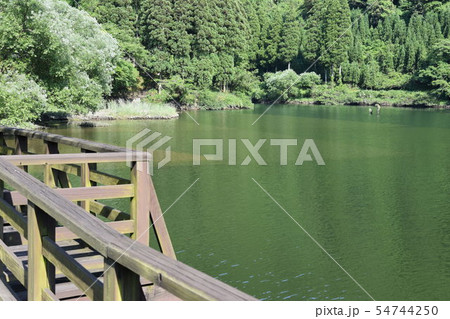 グリーンパル日向神峡キャンプ場内 54744250