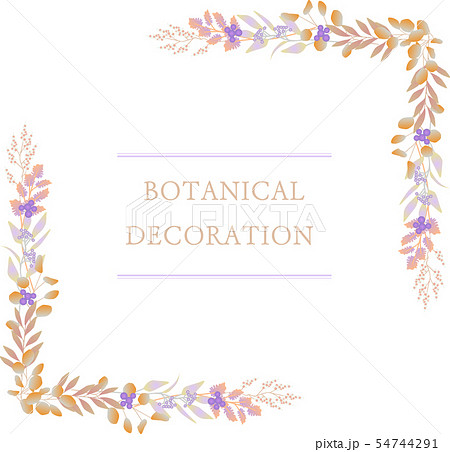 ボタニカル リース イラスト 植物 Botanical Plants Frame 秋 Autumnのイラスト素材