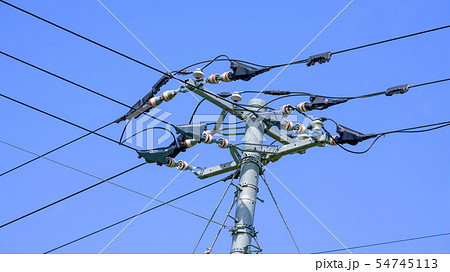 青空と送電線 青空と送電線 54745113