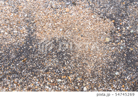 Scattered shells on a black beach 54745269