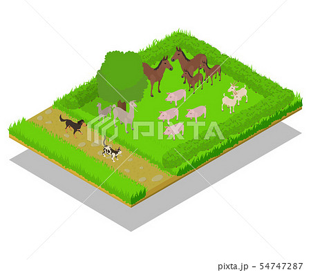 Domestic animal concept banner, isometric style 54747287
