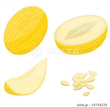 Melon icons set, isometric style 54748229