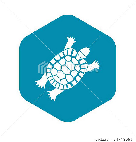 Turtle icon, simple style 54748969