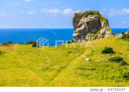 猿岩　【長崎県壱岐市】 54750147